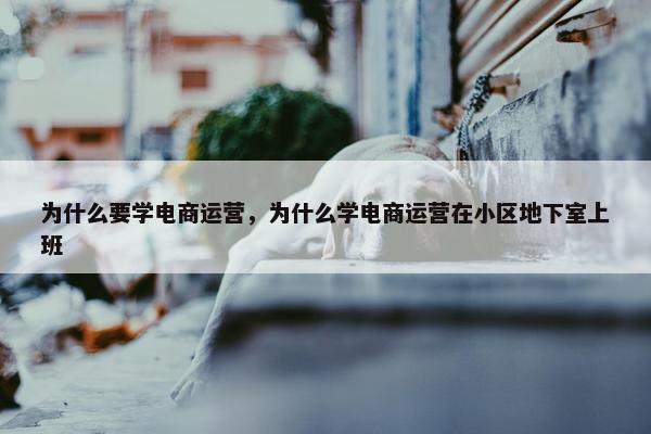 为什么要学电商运营，为什么学电商运营在小区地下室上班