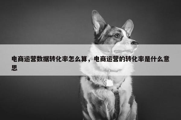 电商运营数据转化率怎么算，电商运营的转化率是什么意思