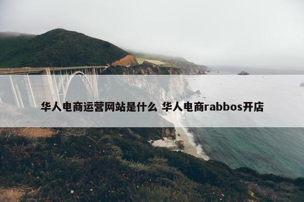 华人电商运营网站是什么 华人电商rabbos开店