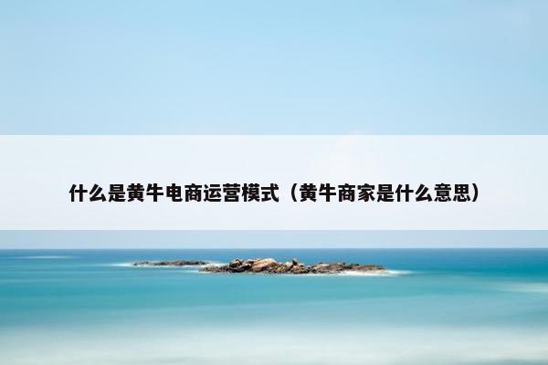 什么是黄牛电商运营模式（黄牛商家是什么意思）