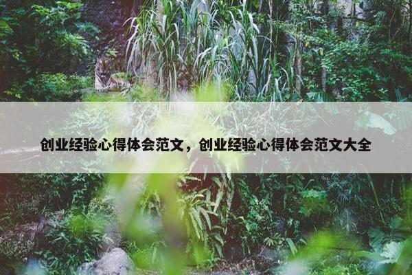 创业经验心得体会范文，创业经验心得体会范文大全