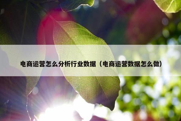 电商运营怎么分析行业数据（电商运营数据怎么做）