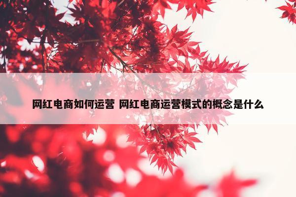 网红电商如何运营 网红电商运营模式的概念是什么