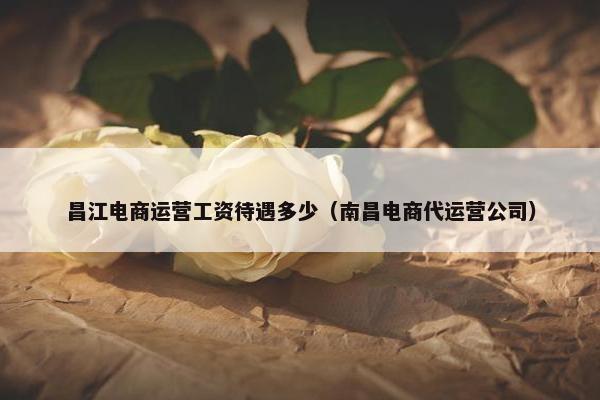 昌江电商运营工资待遇多少（南昌电商代运营公司）