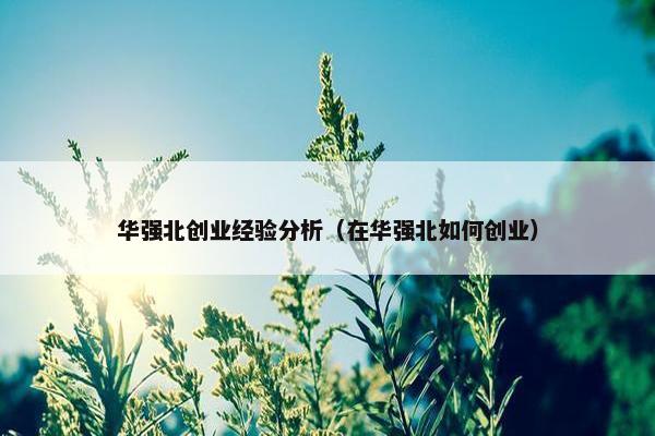 华强北创业经验分析（在华强北如何创业）