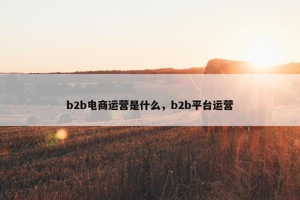 b2b电商运营是什么，b2b平台运营