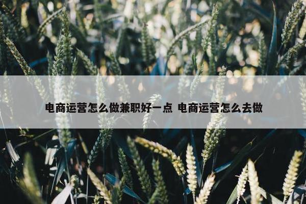 电商运营怎么做兼职好一点 电商运营怎么去做