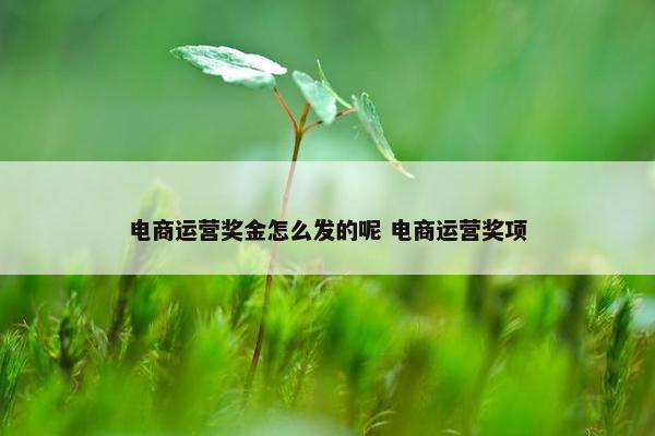 电商运营奖金怎么发的呢 电商运营奖项