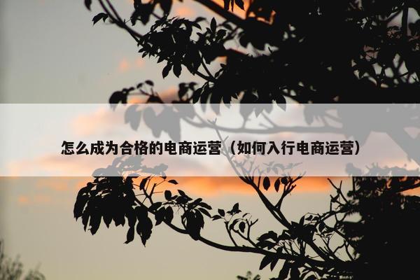 怎么成为合格的电商运营（如何入行电商运营）