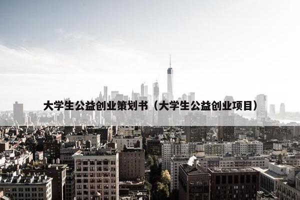 大学生公益创业策划书（大学生公益创业项目）