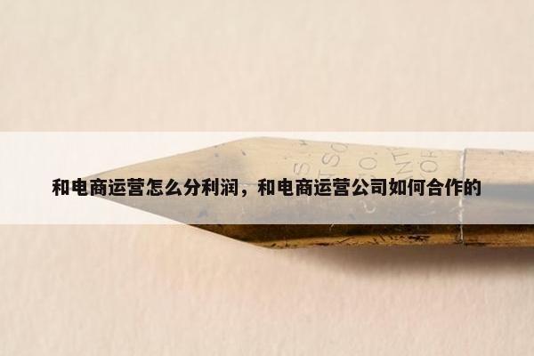 和电商运营怎么分利润，和电商运营公司如何合作的