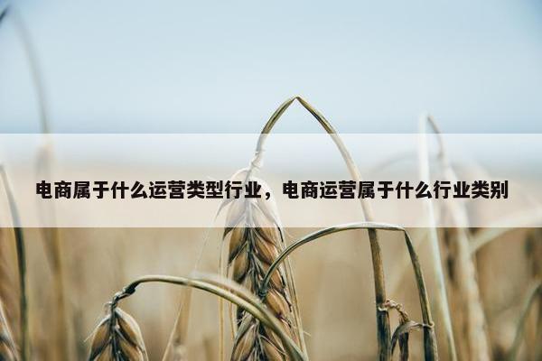 电商属于什么运营类型行业，电商运营属于什么行业类别