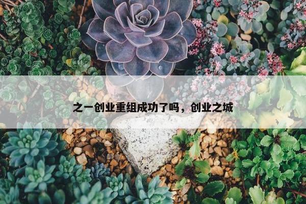 之一创业重组成功了吗，创业之城