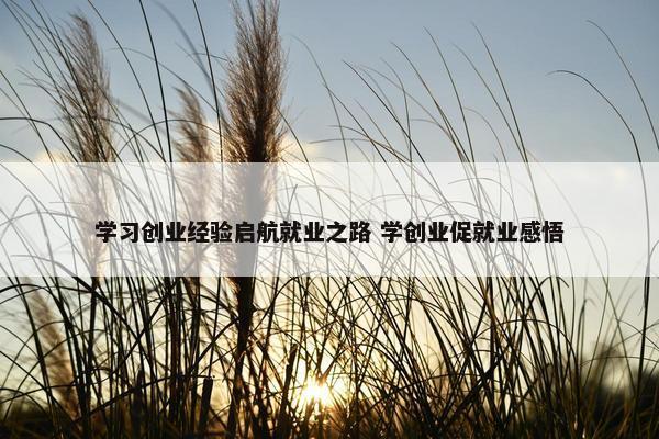 学习创业经验启航就业之路 学创业促就业感悟