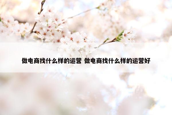 做电商找什么样的运营 做电商找什么样的运营好