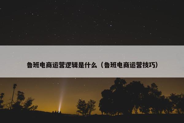 鲁班电商运营逻辑是什么（鲁班电商运营技巧）