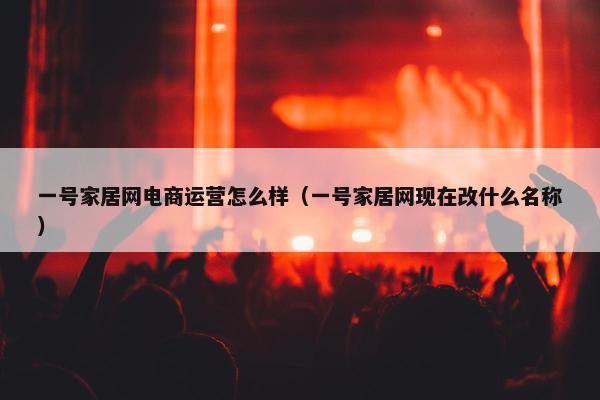 一号家居网电商运营怎么样（一号家居网现在改什么名称）