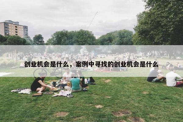 创业机会是什么，案例中寻找的创业机会是什么