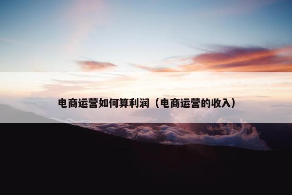 电商运营如何算利润（电商运营的收入）