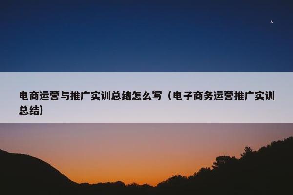 电商运营与推广实训总结怎么写（电子商务运营推广实训总结）