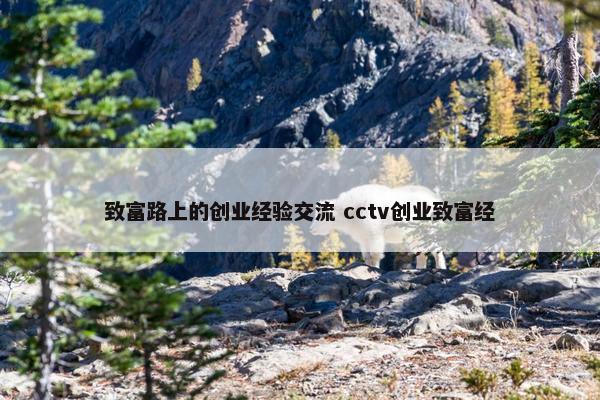 致富路上的创业经验交流 cctv创业致富经