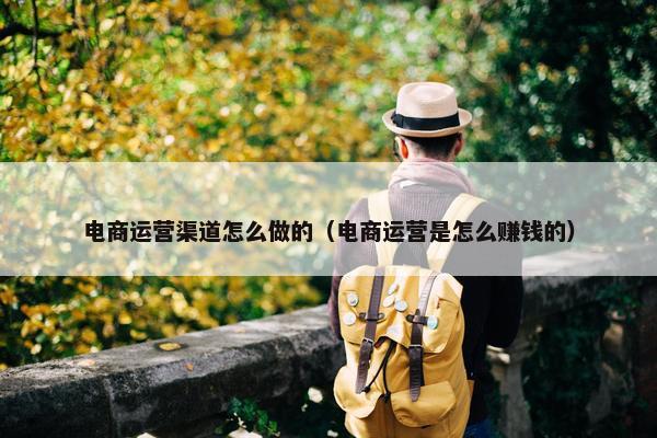 电商运营渠道怎么做的（电商运营是怎么赚钱的）