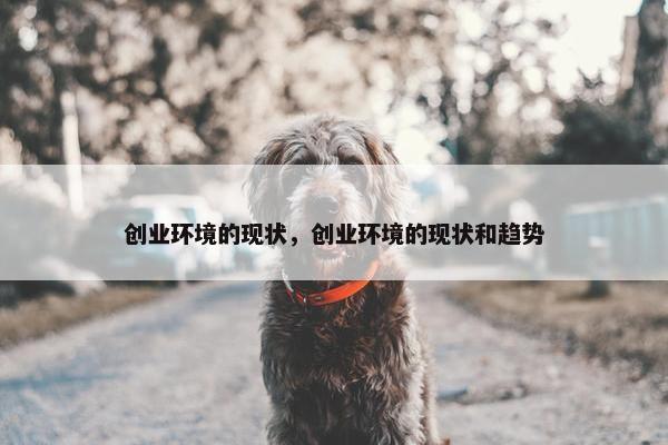 创业环境的现状，创业环境的现状和趋势