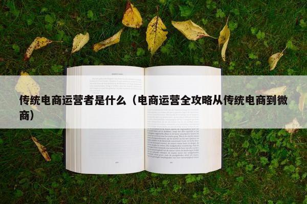 传统电商运营者是什么（电商运营全攻略从传统电商到微商）