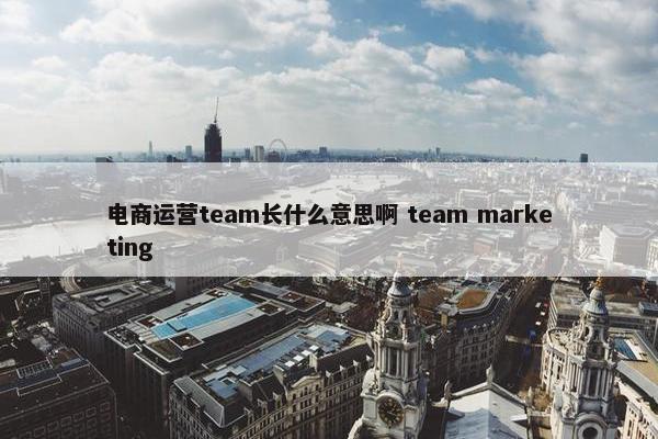 电商运营team长什么意思啊 team marketing