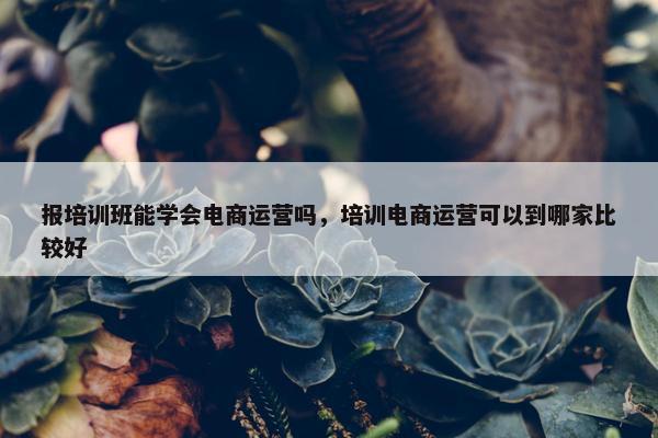 报培训班能学会电商运营吗，培训电商运营可以到哪家比较好