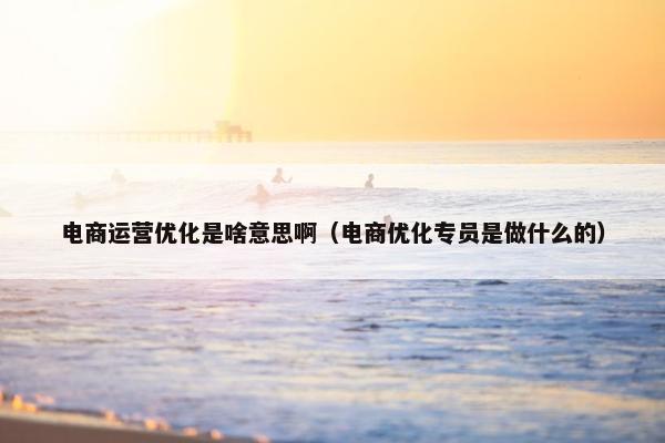 电商运营优化是啥意思啊（电商优化专员是做什么的）