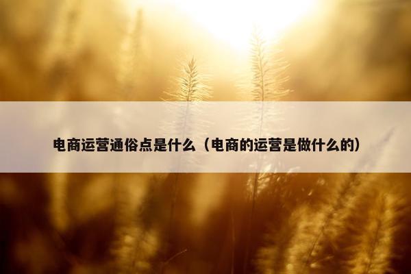 电商运营通俗点是什么（电商的运营是做什么的）