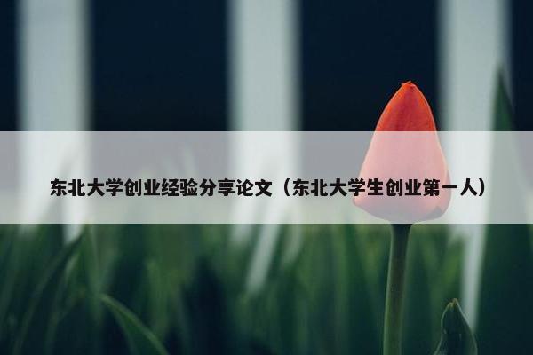 东北大学创业经验分享论文（东北大学生创业第一人）