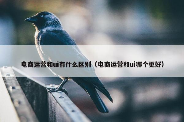 电商运营和ui有什么区别（电商运营和ui哪个更好）