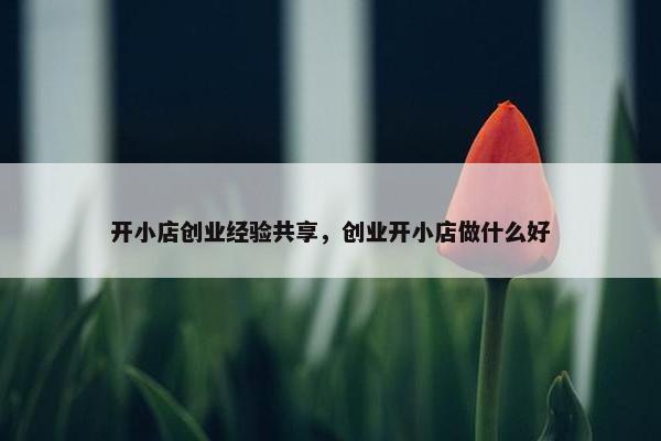 开小店创业经验共享，创业开小店做什么好