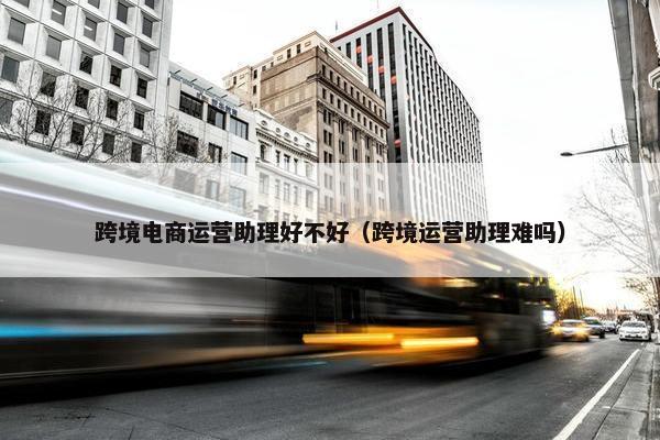 跨境电商运营助理好不好（跨境运营助理难吗）