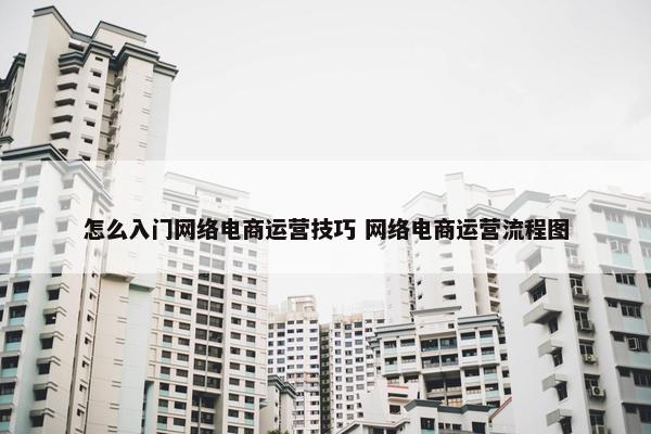 怎么入门网络电商运营技巧 网络电商运营流程图