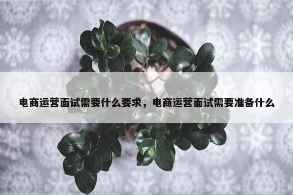 电商运营面试需要什么要求，电商运营面试需要准备什么