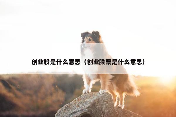 创业股是什么意思（创业股票是什么意思）