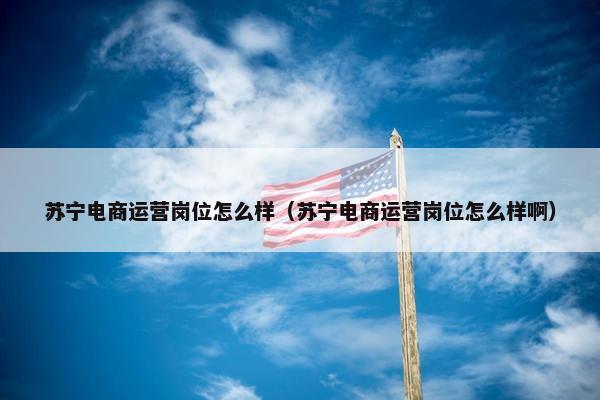 苏宁电商运营岗位怎么样（苏宁电商运营岗位怎么样啊）