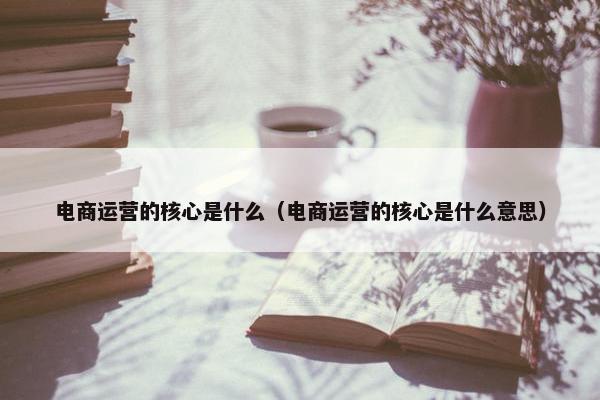 电商运营的核心是什么（电商运营的核心是什么意思）