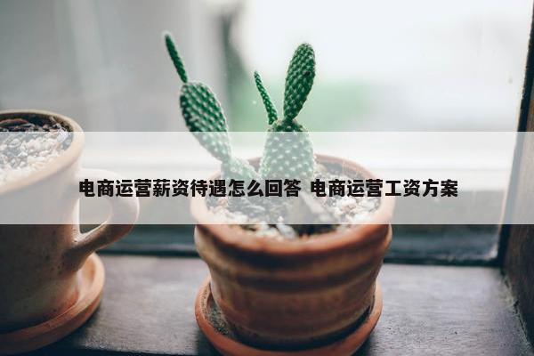 电商运营薪资待遇怎么回答 电商运营工资方案