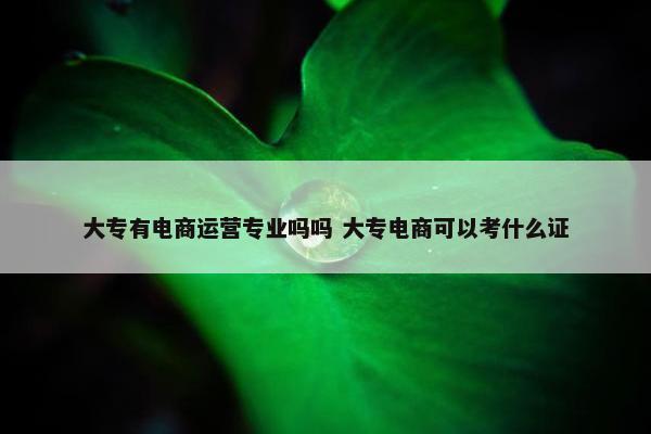 大专有电商运营专业吗吗 大专电商可以考什么证