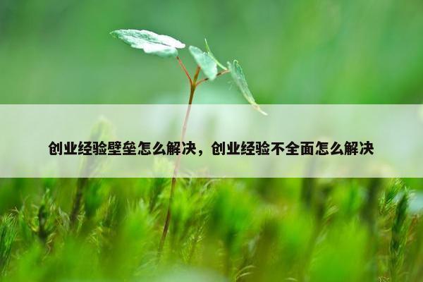 创业经验壁垒怎么解决，创业经验不全面怎么解决