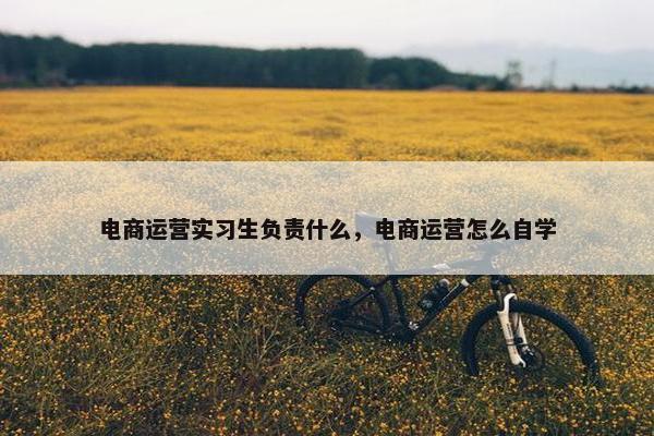 电商运营实习生负责什么，电商运营怎么自学