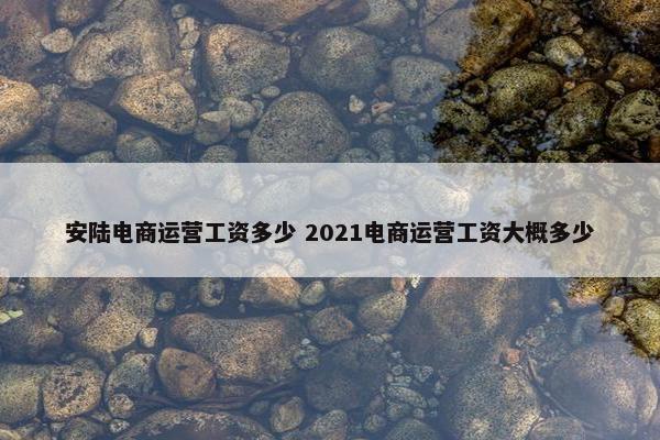 安陆电商运营工资多少 2021电商运营工资大概多少