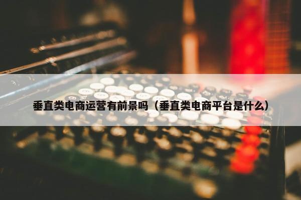 垂直类电商运营有前景吗（垂直类电商平台是什么）