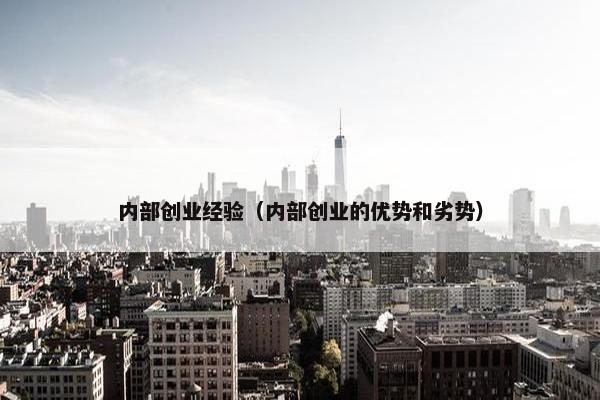 内部创业经验（内部创业的优势和劣势）