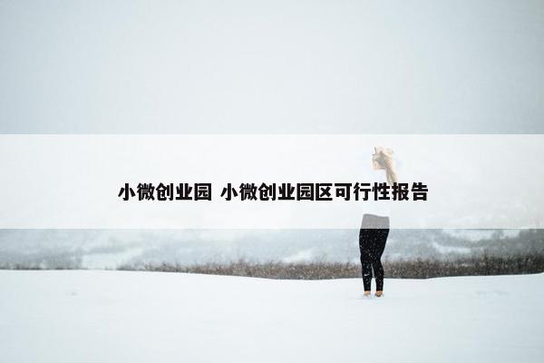 小微创业园 小微创业园区可行性报告