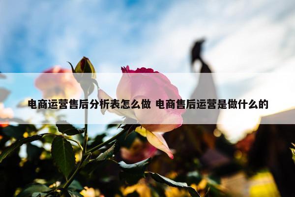 电商运营售后分析表怎么做 电商售后运营是做什么的